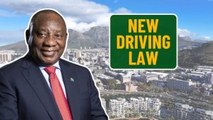 New Driving Law